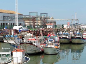 Isla Cristina y Punta Umbría retrasan la pesca de la sardina hasta el verano