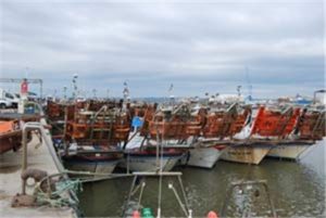 Los barcos de la chirla de Isla Cristina estarán ocho meses parados por el cierre del caladero