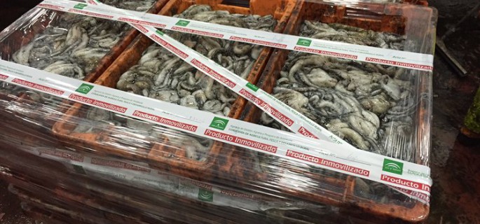Inspección Pesquera decomisa 660 kilos de pulpo sin etiquetado en Isla Cristina