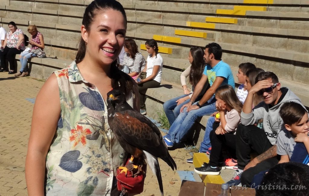 Imágenes VIIII Concurso morfológico de belleza de aves de presa Ciudad de Isla Cristina