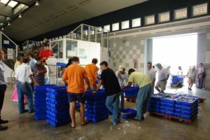 Los exportadores de mariscos de Isla Cristina, tienen “buenas perspectivas” para Navidades