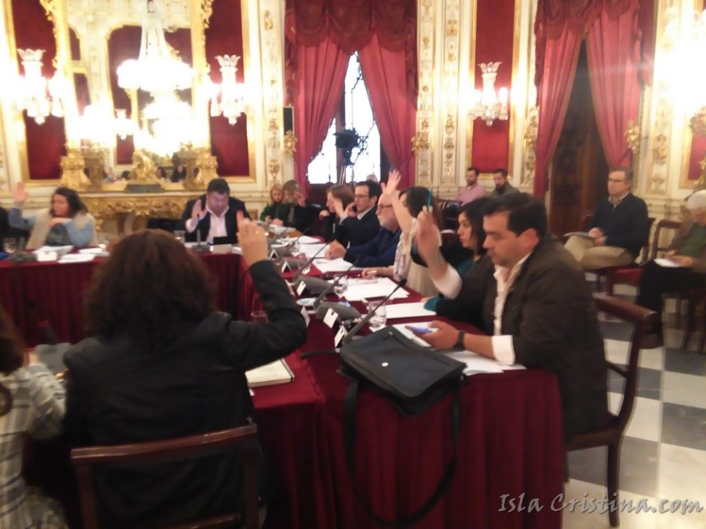 El Pleno de la Diputación de Cádiz aprueba por unanimidad la moción para una Ley Andaluza de Transporte Marítimo