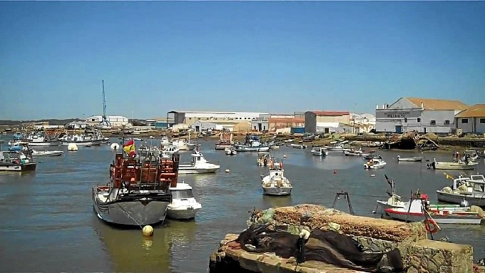 El Gobierno acuerda el cierre de las pesquerías de sardina y jurel en el Golfo de Cádiz