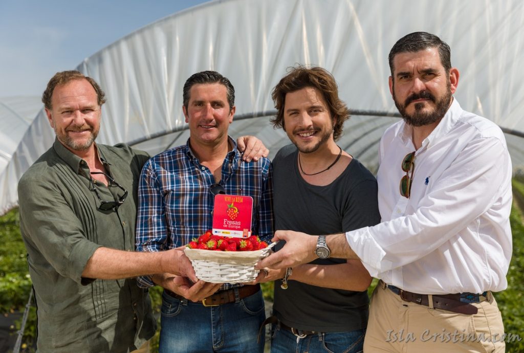 Manuel Carrasco, embajador de ‘Fresas de Europa’, visita fincas de cultivo en Huelva