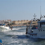 Huelva y Cádiz analizan la situación de la pesca de cerco