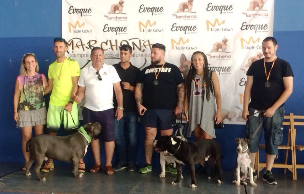 Más de 50 perros en la primera Exposición y Adiestramiento canino de Isla Cristina