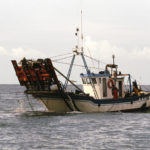 Carta al consejero de Agricultura y Pesca de las mujeres de marineros afectados por la chirla