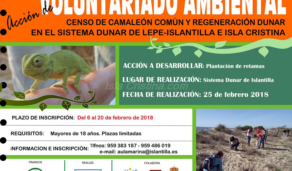 Abierto plazo de inscripción en Islantilla para Acción de Voluntariado Ambiental