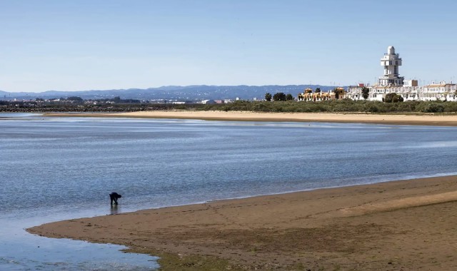 Isla Cristina tendrá este verano una playa para mascotas